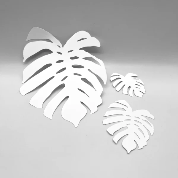 philodendron hastatum 'silver queen' Philodendron “Silver Queen” — Finecity Landscape main image 0