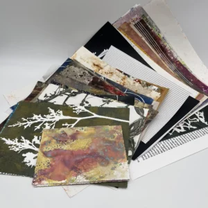 ARTY PAPERS Special | LIMITED | Random Assortment Surprise Pack EXTRA