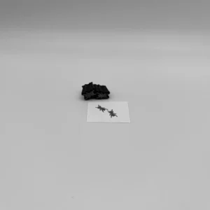 Bitty Border Style 11 Ants Foam Stamp Artist Tools